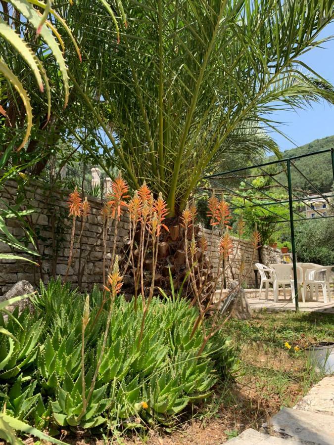 Silent Bay Apartments Katavolos Luaran gambar